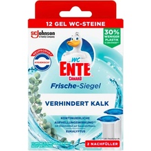 WC Ente Fresh Discs s vůní Eukalyptu náhradní balení 2 x 36 ml