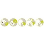 Clairefontaine Tattoos Washable Monsters