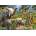 Ravensburger - Puzzle Water - 18 000 piese