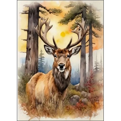Norimpex Diamantové malování Jelen 30 x 40 cm