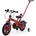 Rastar Mini 2020