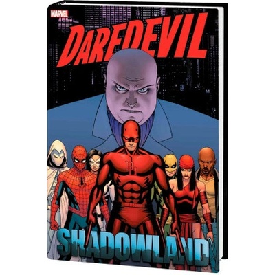 DAREDEVIL SHADOWLAND OMNI CASSADAY COVER