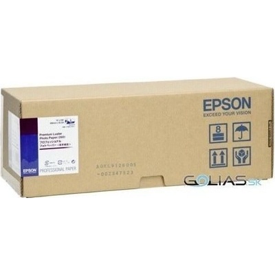 Epson S042079