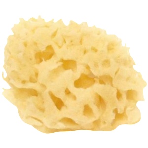 Cose della Natura Избелена Honeycomb-гъба - 4-5 г