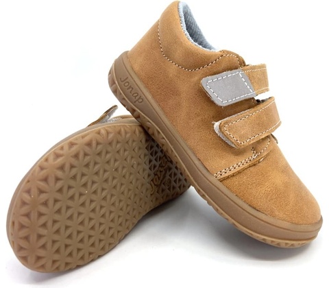 Jonap B1 MV camel