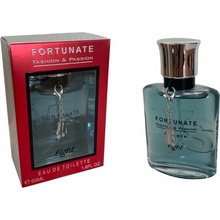 Fortunate Fight toaletná voda pánska 50 ml