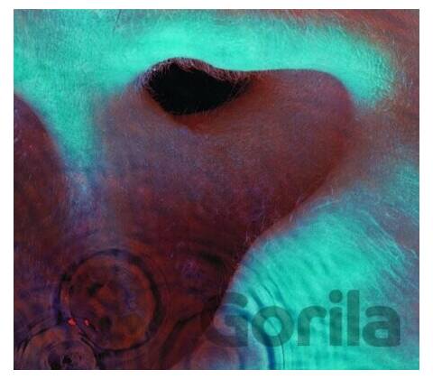 Meddle - Pink Floyd LP
