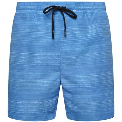 Dare 2b мъжки борд шорти Retread Methyl Blue