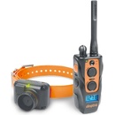 Dogtra 2600 T&B