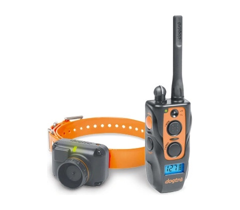 Dogtra 2600 T&B