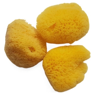 Caribbean Sun Kosmetická mořská houba 5-6 cm 3 ks Varianta: Jemná