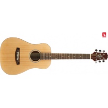 Ashton Mini20