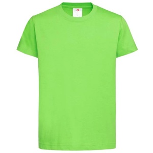 Stedman classic-t / Детска тениска - киви m (st2200kiwm)
