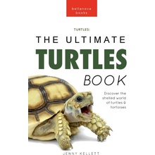 Turtles The Ultimate Turtles Book