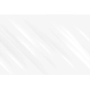 Hodinky Fossil CH 2891