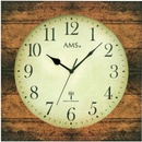 AMS 5550