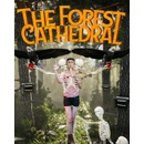 The Forest Cathedral