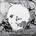 Radiohead - A Moon Shaped Pool CD
