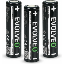 EVOLVEO LiPower 186 Core 2500 mAh 3ks LIP-1862C-3