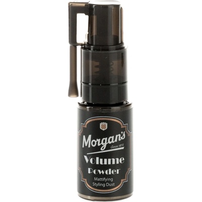 Morgan's Styling Volume Powder 10 g