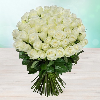 Rozvoz květin: Luxusní bílé růže - 70cm - cena za 1ks - Nymburk - Fleurametz - NL