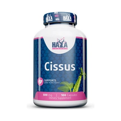 Haya Labs Cissus 500mg 100 kapslí