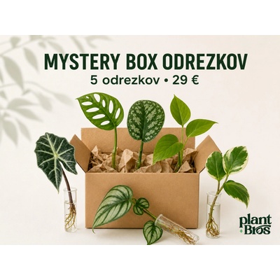 PlantBros Mystery box odrezkov