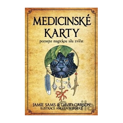 Medicinské karty (Kniha a 52 karet) - Jamie Sams, David Carson