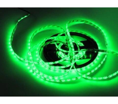 ECOLIGHT EC79343