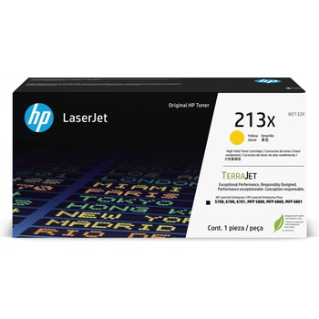 HP W2132X