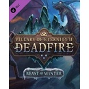 Pillars of Eternity 2: Deadfire Beast of Winter