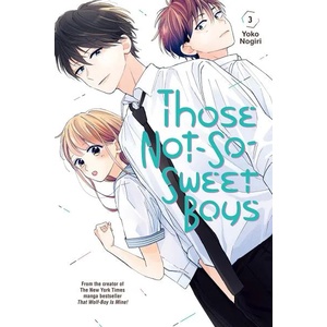 Those Not-So-Sweet Boys, Vol. 3 (ISBN: 9781646511983)