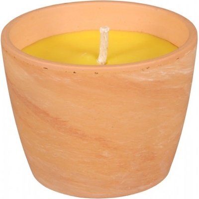 Nohel Garden CITRONELLA GUZMANIA 250 g