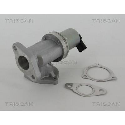 AGR - Ventil TRISCAN 8813 43002