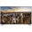 Hisense H55M5500
