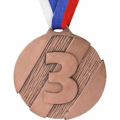 Darteg medaile průměr 50 mm, bronz