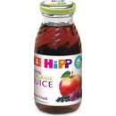 HiPP BIO z červených plodov ovocia 200 ml