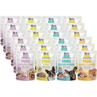 Brit Care Mini Mix příchutí filety v omáčce 24 x 85 g