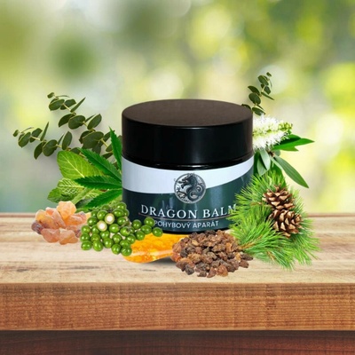 Dragon balm péče o pohybový aparát 2 x 50ml