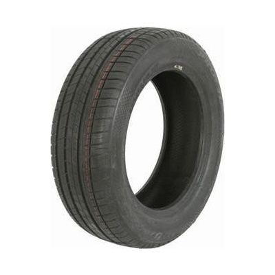 Profil Aqua Race Plus 205/55 R16 91V
