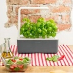 Click & Grow Smart Garden 3