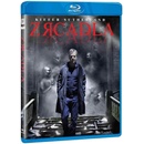 Zrcadla BD