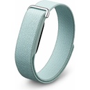 Google Fitbit Air