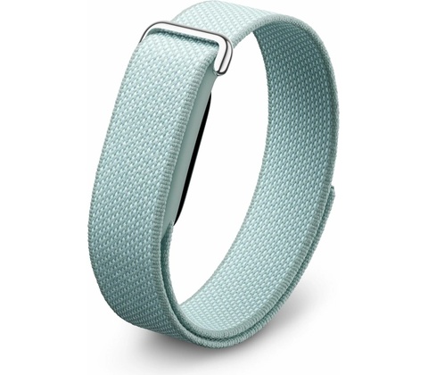 Google Fitbit Air