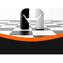 Particula GoChess Mini
