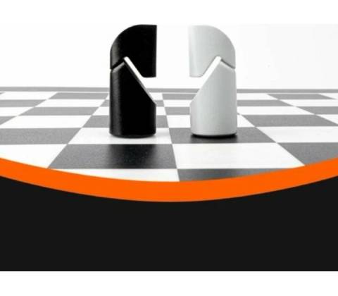 Particula GoChess Mini