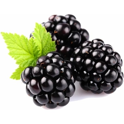 Lifelike Lyofilizované černice 50 g