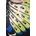Adidas Рокля adidas x Farm Rio (JL8610)