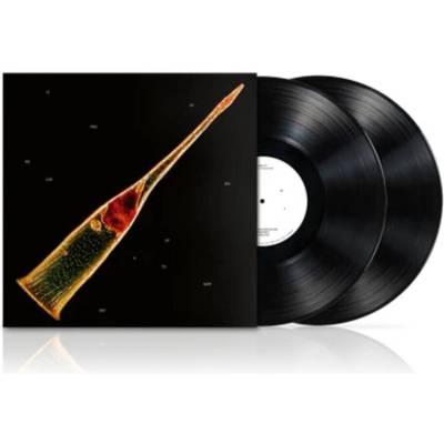 Leprous - Melodies Of Atonement (180 g) (2 LP) (0196588950810)