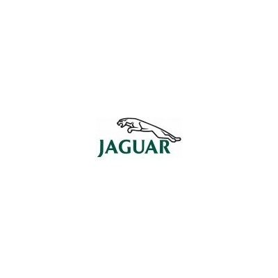 Jaguar metalická farba lakovateľná 1000 ml, riedenie 1:1